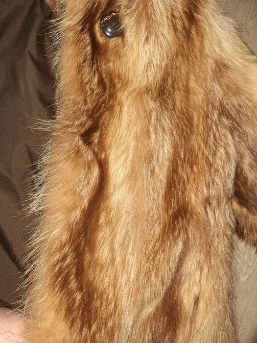 Шуба из меха енота