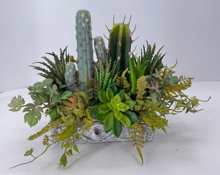Kompozycja całoroczna sukulenty i kaktusy osłonka gliniana