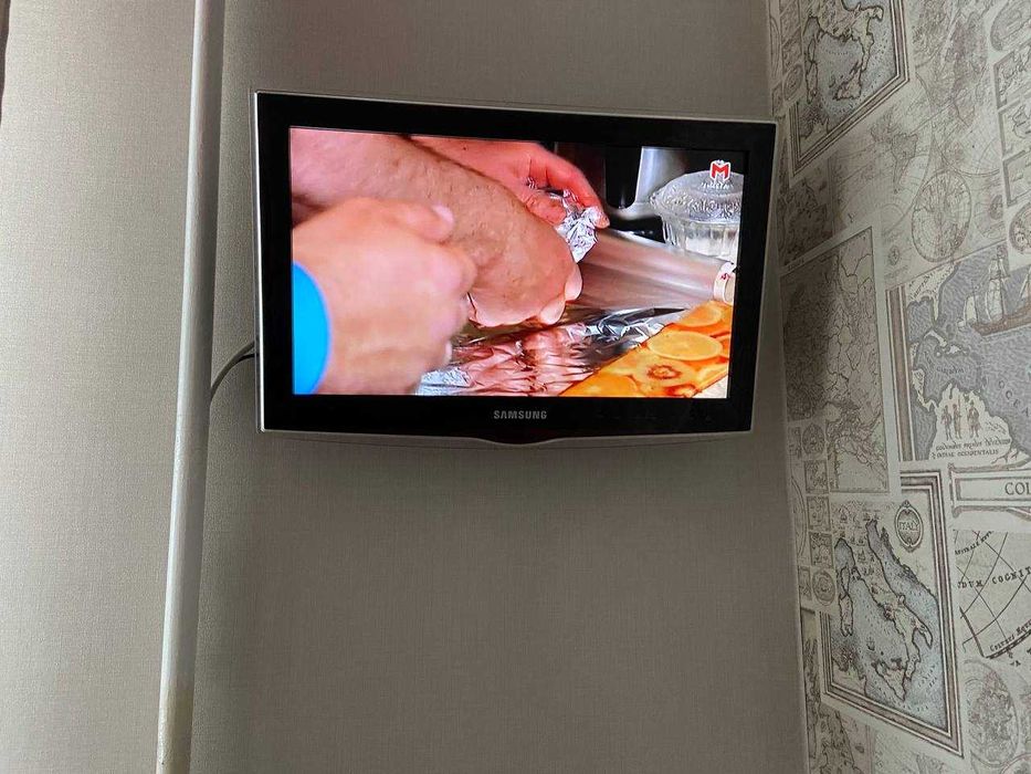 Телевізор Samsung LE19D450G1W  19 дюймів