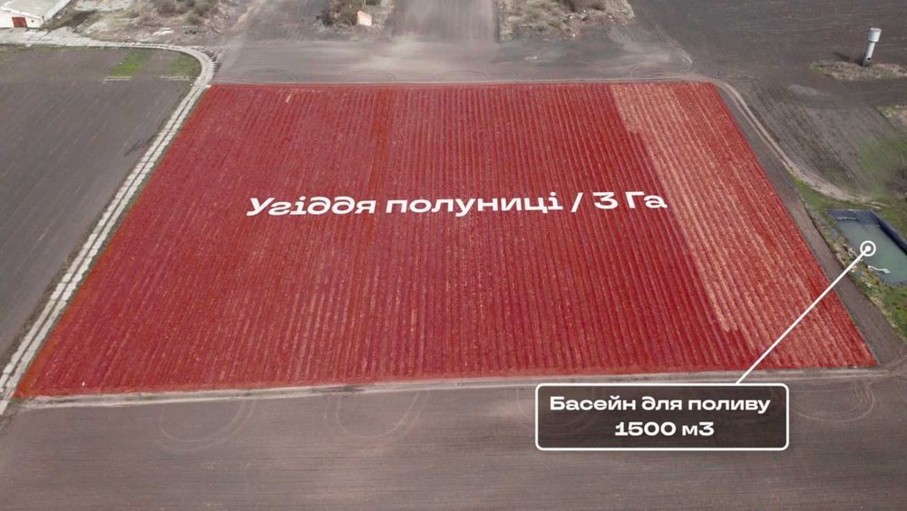 Продаж фермерського комплексу 26га. Земля, склади, сушарки, техніка