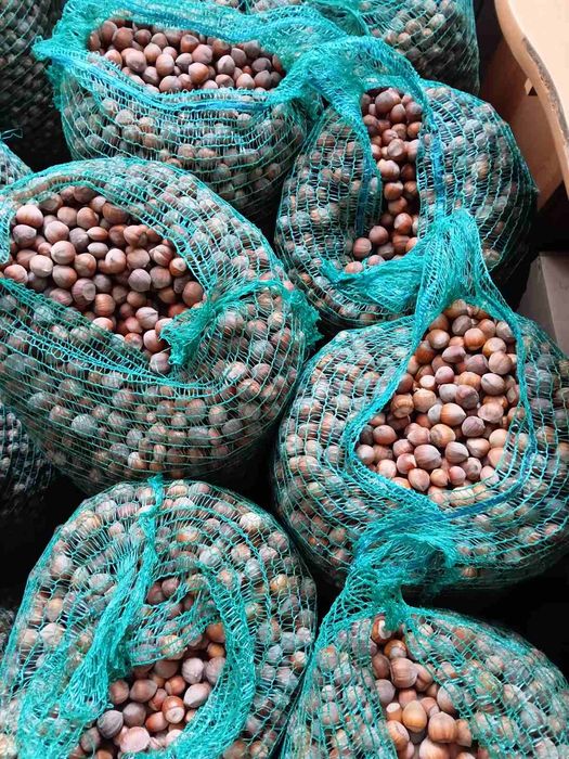 Горіхи  Фундука ()