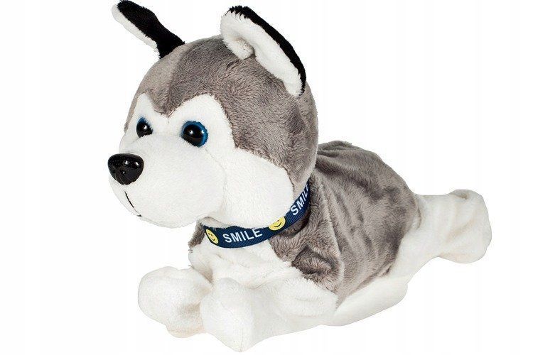 pies interaktywny piesek husky reaguje na dotyk