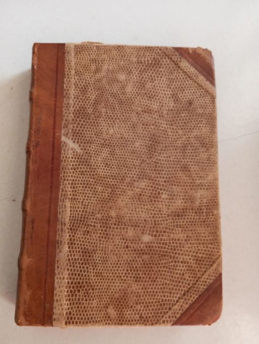 Daniel Severino - O Amor e uma cabana