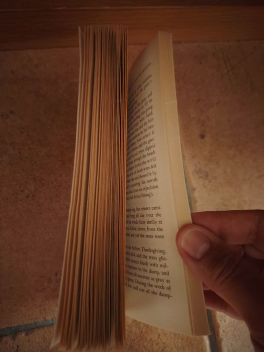 Livro antigo Steinbek