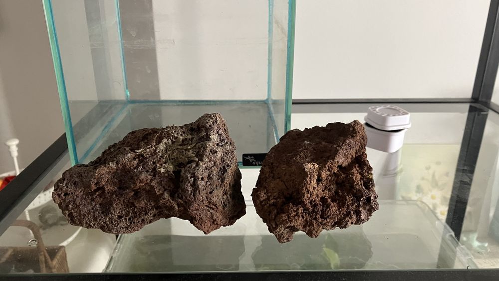 Plantas, rochas, troncos de aquario