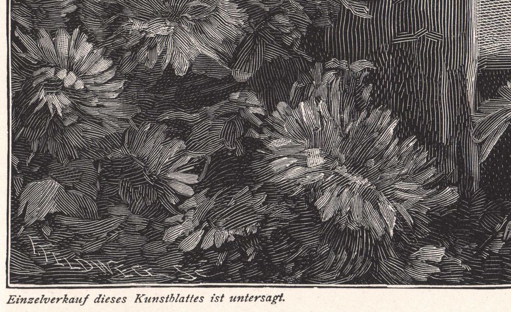 Fechner: Damy w parku. Duży efektowny drzeworyt 1896 r. autentyk