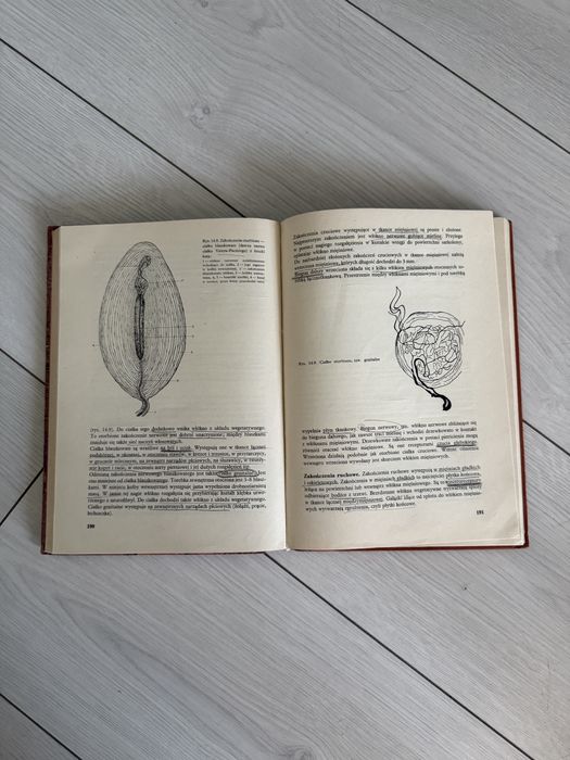 Ćwiczenia z histologii i embriologii - marek wawrzyniak