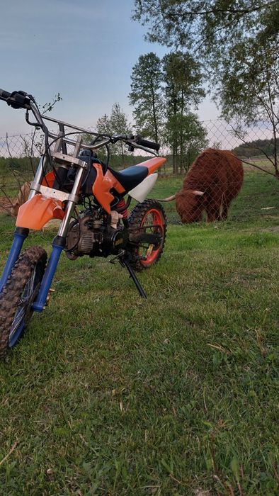 Kross KXD125 uszkodzony