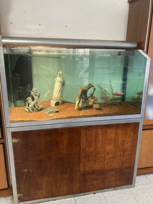 Aquario Completo