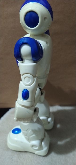 Electronic robot without remote control454886423035258883