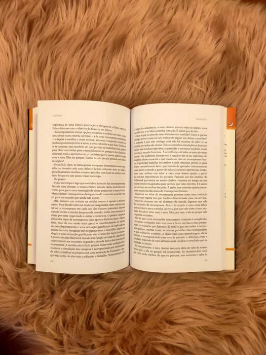 Livro O Cérebro de David Eagleman