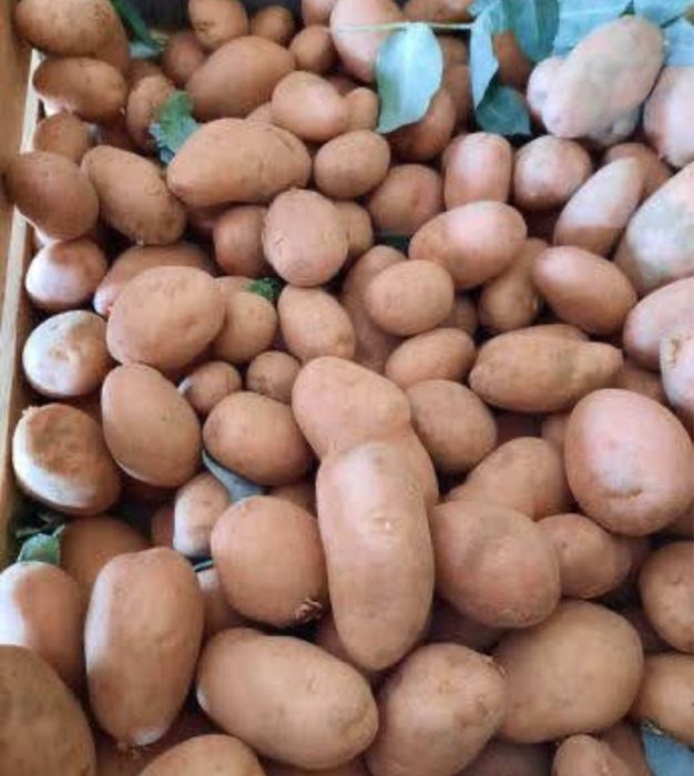 Batata 20Kg + Cebolas