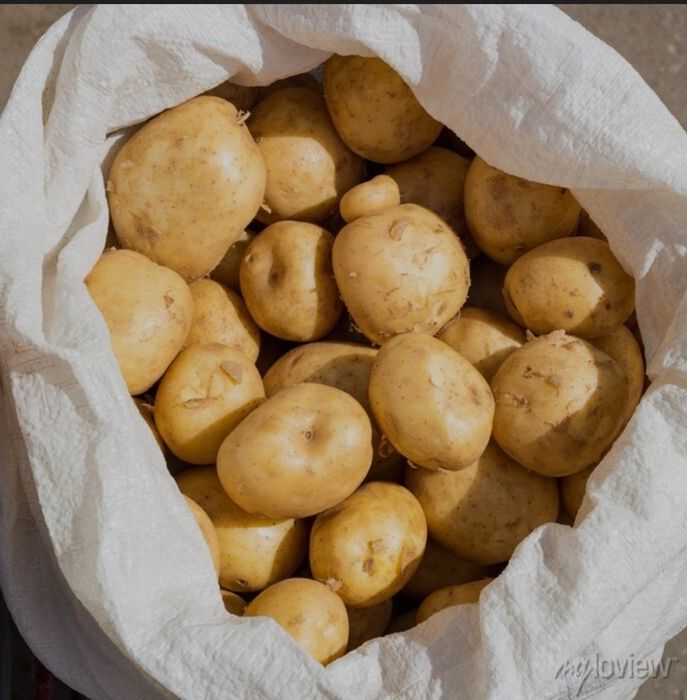 Ziemniaki Ekologiczne drobne paszowe