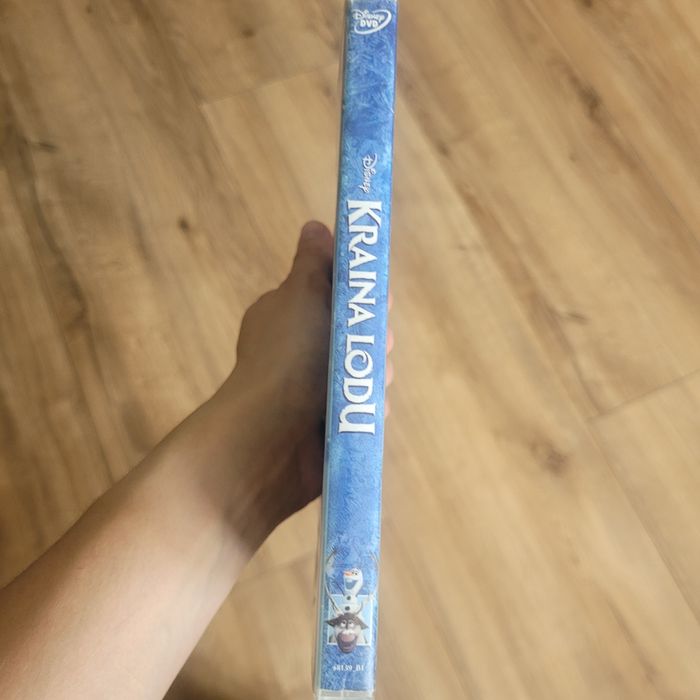 Kraina lodu płyta DVD