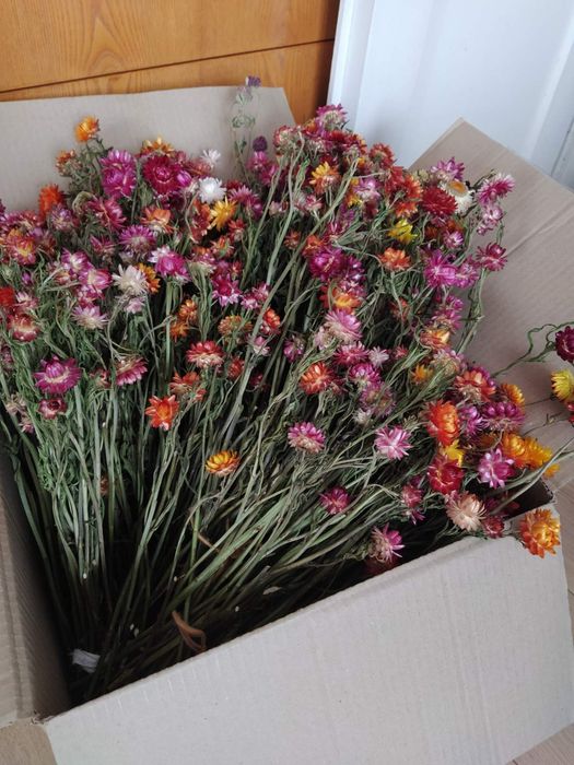 Сушені квіти та трави, натуральні, не оброблені