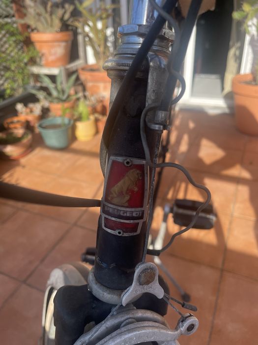 Bicicleta antiga Peugeot