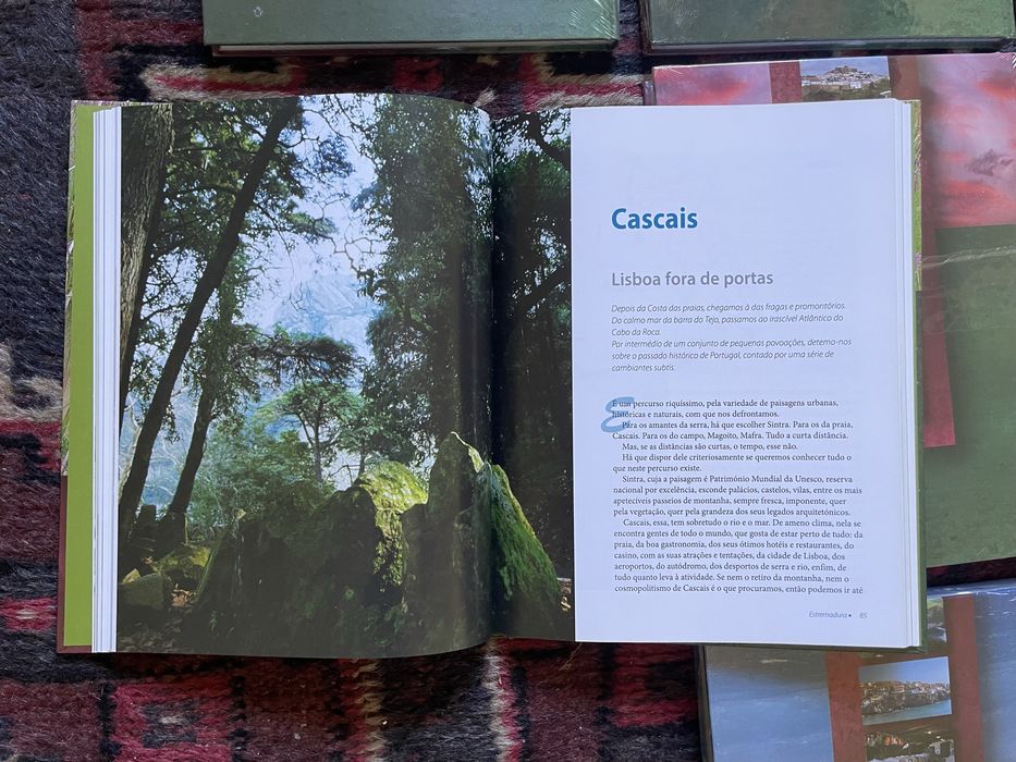 Colecção de livros completa “Descubra Portugal” - NOVO