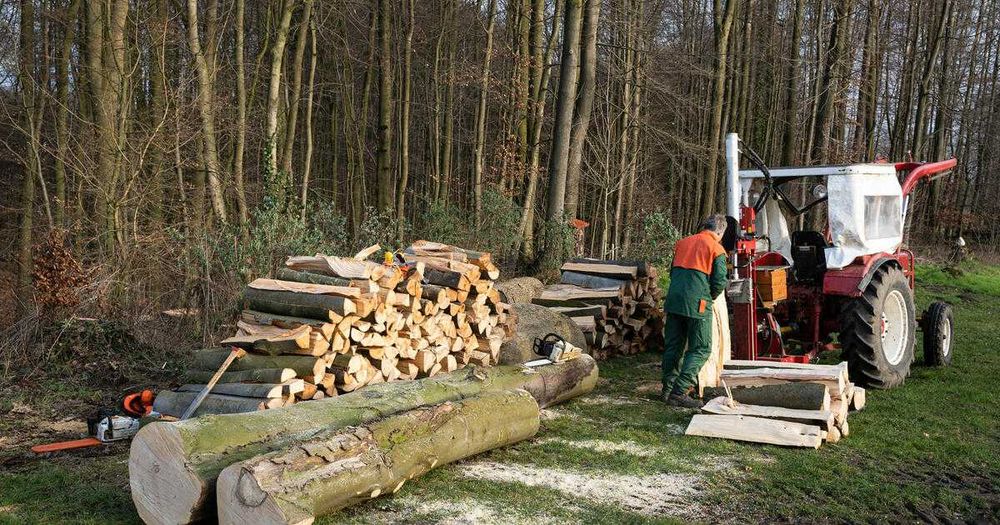 Дрова дубові грабові березові колоті метровки по області дрова