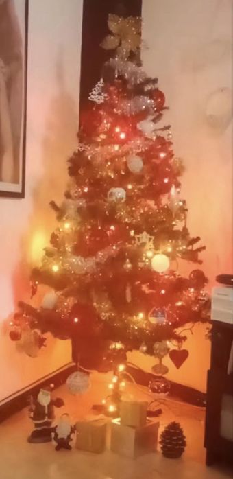 Vendo árvore de Natal com 1,80m , com incluído as bolas e outros enfeites  , só as fitas e as luzes não incluídas
