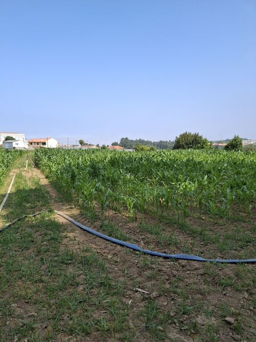 Terreno Rustico venda