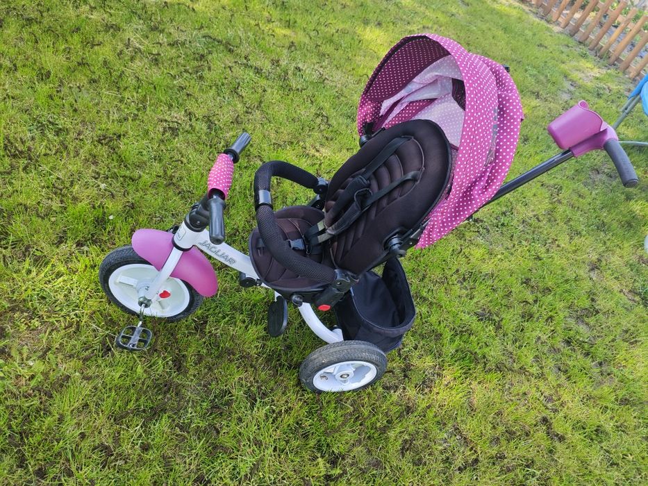 Rower trójkołowy Lorelli Jaguar. Rowerek dla dziecka