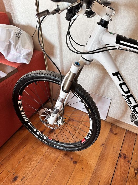 Focus Black Forest XL 26