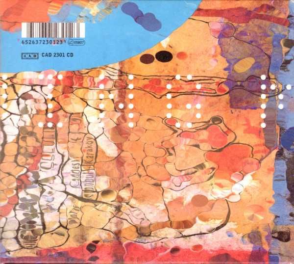 Throwing Muses cd  Throwing Muses   indie    digipak    ideał