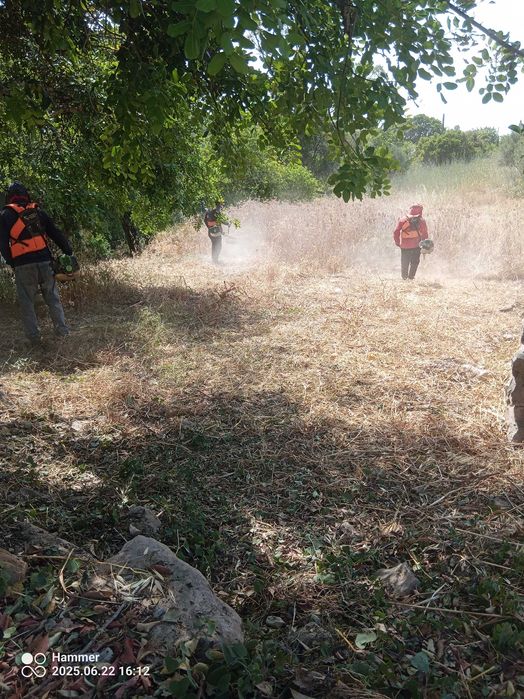 Serviços agrícolas e entre outros