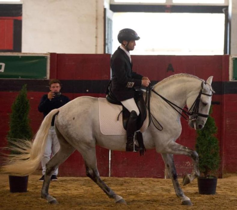 Vendo cobricoes 3 garanhoes optimas linhagens