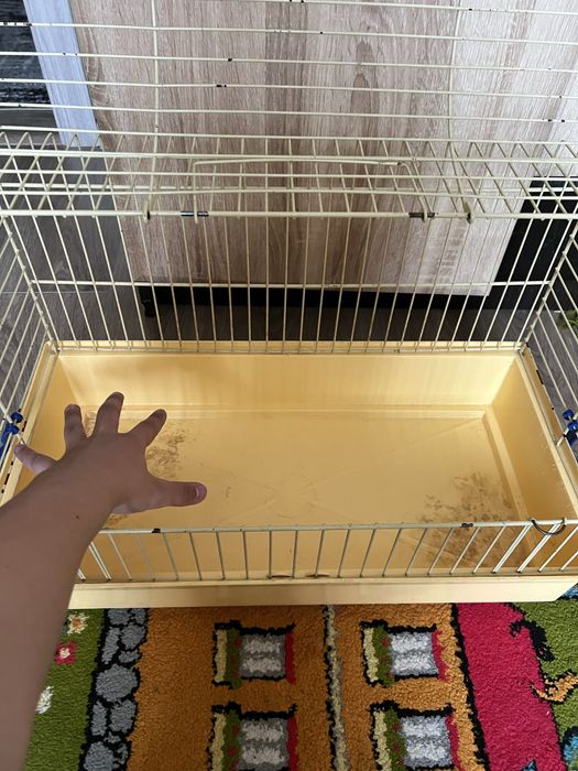 Клітка для декоративного кролика