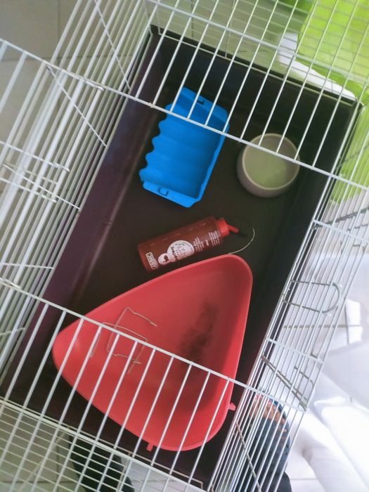 Gaiola e acessórios de coelho