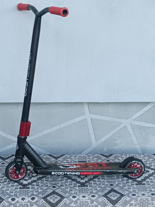 Best scooter BACKLIP