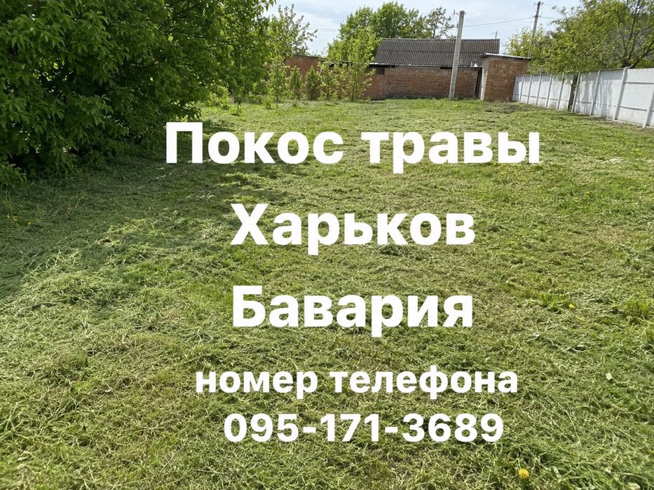 Покос трави, кронування дерев, спил. Послуги садовника.