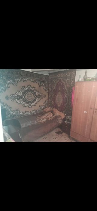 Продам будинок в с. Ладижинка