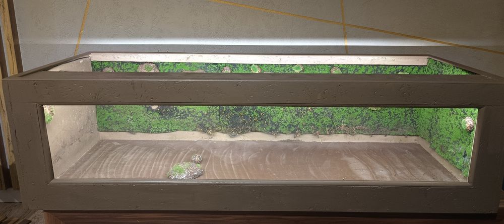 Terrarium dla żówia/ innego gada