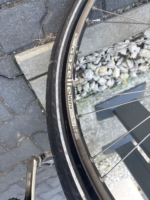 Rower gazelle luzern