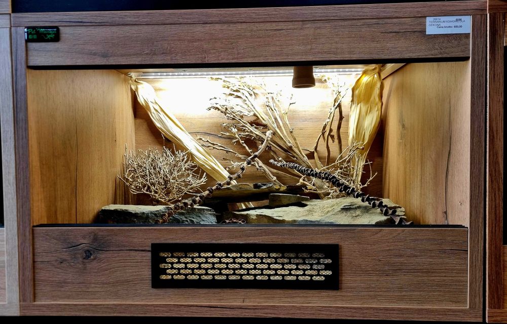 Terrarium 60x40x40 dla gekona jaszczurki agamy legwana węża żółwia
