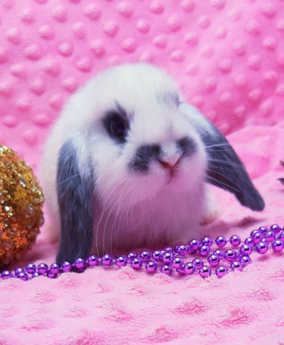 Ніжність у кожному русі!