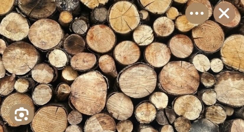 Продам дрова Кропивницький