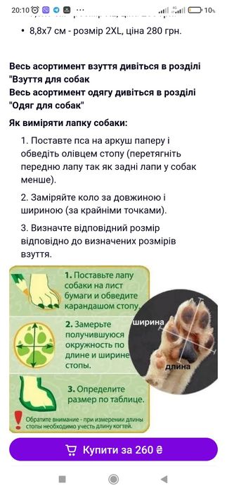 Гумові чобітки для собак