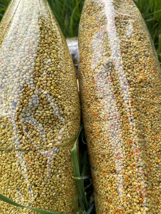 Якісний світлий бджолиний пилок 2025 року з власної пасіки, пыльца