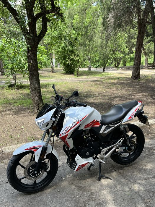 Geon Pantera 200
