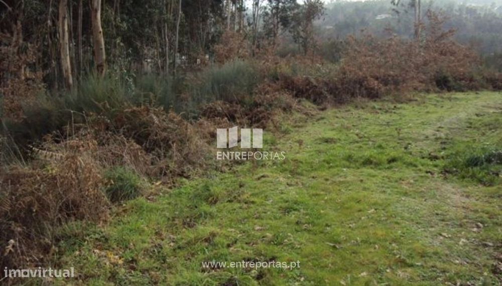 Venda Terreno, junto à estrada, Tabuado, Marco de Canaveses