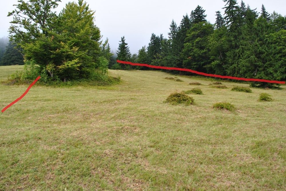 Земля в Закарпатті біля озера "Синевир"