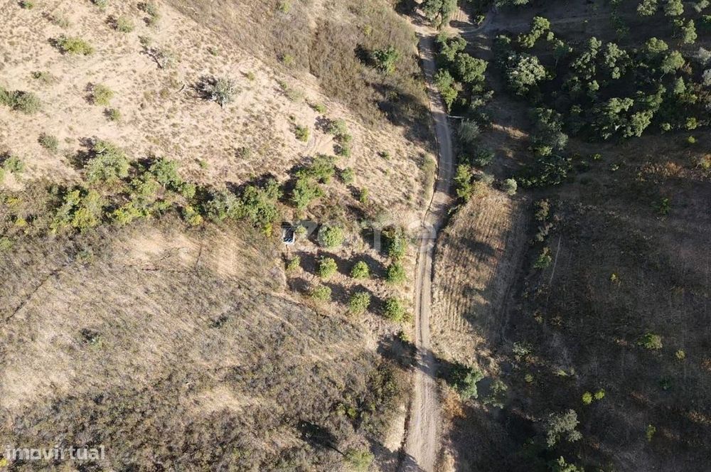 Terreno Rústico em Foz do Ribeiro c/ 6.640m2 e tanque de água