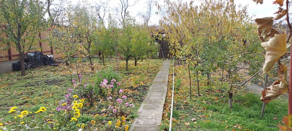 Дача, Соловьиная роща