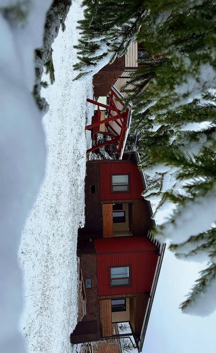 Будинок в Карпатах біля Буковелю. Яблуниця. Продаж дуплекса 2 в 1