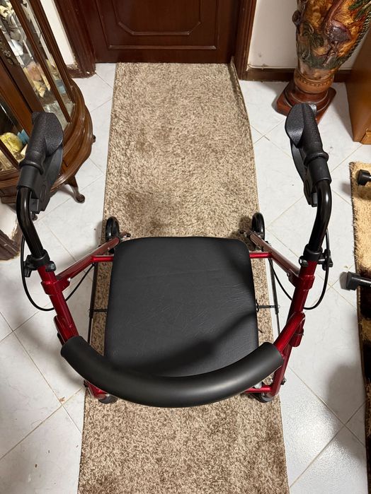 Andarilho com rodas e cesto