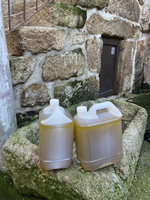 Azeite 100% Transmontano