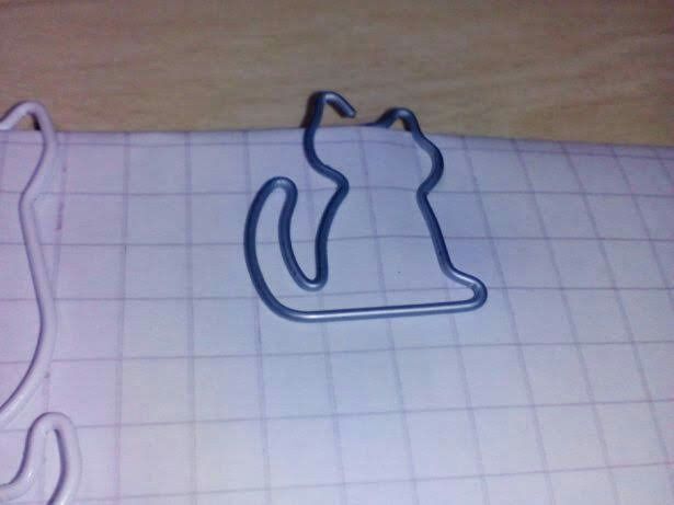 Gatos: 5 Clipes Gigantes.